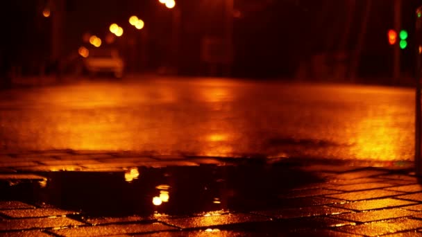 Éjszaka Csöpög Eső Egy Elhagyatott Városi Utcában Előtérben Egy Tócsa Jogdíjmentes Stock Videó