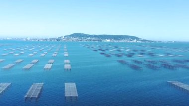 Fransa 'nın Occitanie kentindeki Etang de Thau' daki istiridye masalarının hava manzarası.