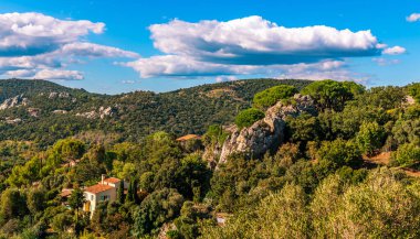 Fransa 'nın Provence Alpes Cote d' Azur kentindeki var 'da, Hyres' ten tipik Provencal manzara.