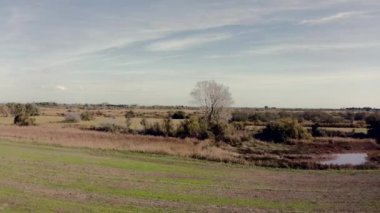 Fransa 'nın Provence kentindeki Bouches du Rhone' daki Camargue manzarasının hava görüntüsü..