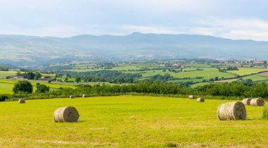 Fransa 'nın Auvergne-Rhone-Alpes kentindeki Monts du Lyonnais' de saman dolu bir tarla.