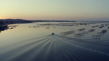 Thau lagünündeki masaların yanında bir istiridye balıkçı teknesi. Arka planda Sete var.