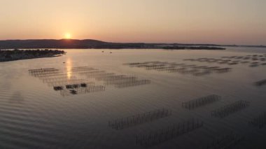 Thau istiridye parkında gün doğumu ve Mont Saint Clair. Occitanie, Fransa