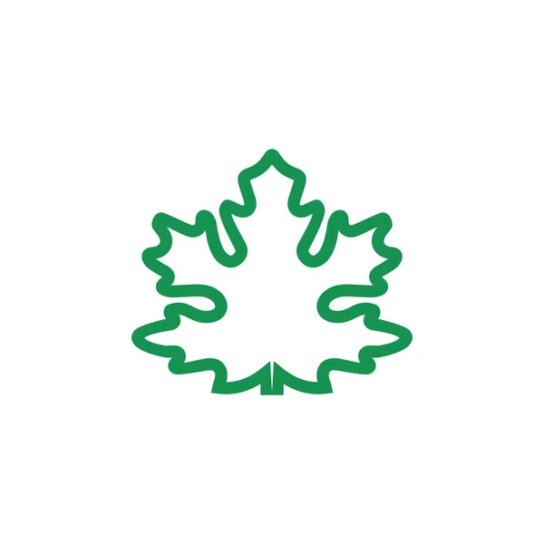 Sycamore Tree Leaf Logo Family Icon Sycamore Logo — Stock Vector