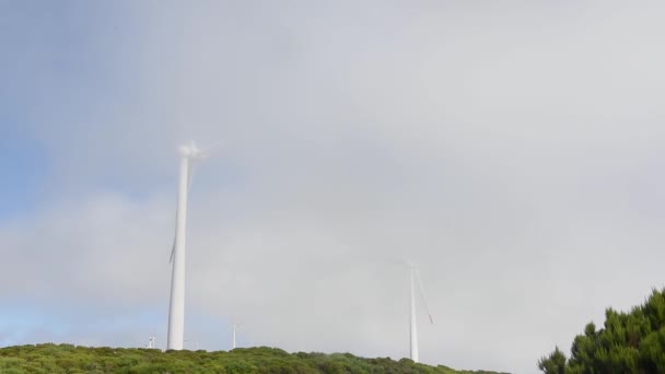 霧の中で回転風車と緑の丘の上の風車の風力発電所 — ストック動画