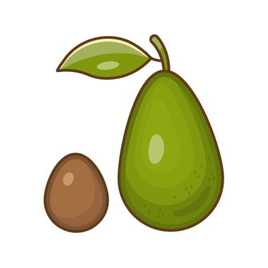 İzole avokado seti. Avokado ve tohum. Beyaz arkaplanda izole edilmiş.