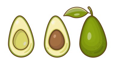 Üç avokado seti. Avokado, avokado ve avokado tohumsuz..