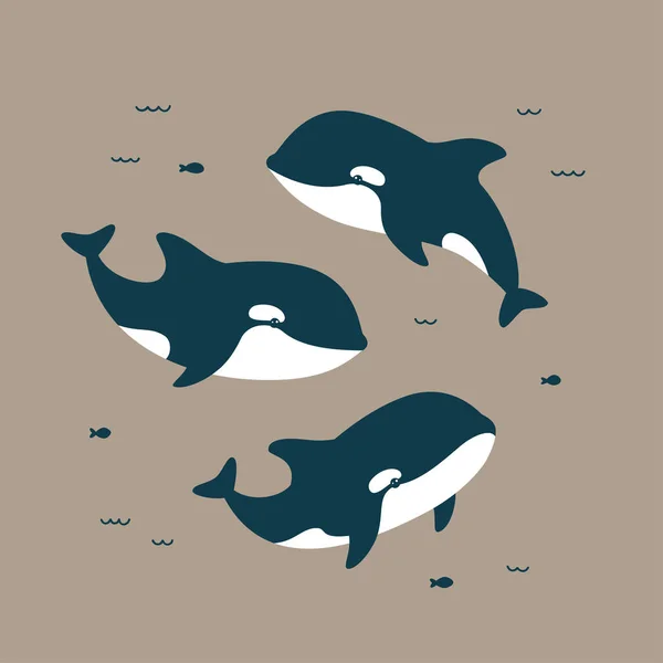 Vector Illustration Cute Killer Whales — Stock Vector