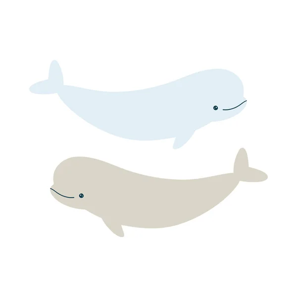 귀여운 흰돌고래에 — 스톡 벡터