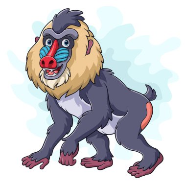 Beyaz arkaplanda Mandrill maymunu