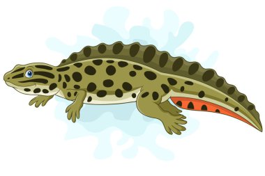 Çizgi film semenderi beyaz arkaplanda izole edildi