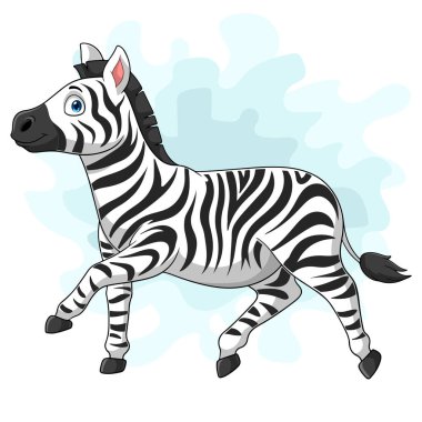 Zebra poz beyaz arka plan üzerinde izole şirin bebek