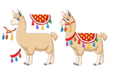 Cartoon funny llama on white background