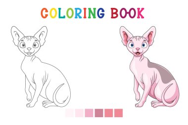 Beyaz arkaplanda boyama kitabı tarzında şirin sfenks kedi çizgi filmi