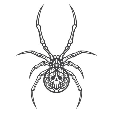 Örümcek mandala sanatı beyaz arkaplanda izole