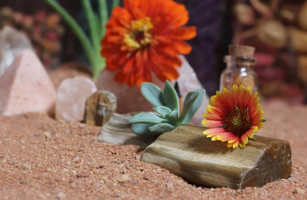 Stock image Chakra Stones With Aloe Vera and Incense Cone on Australian Red Sand