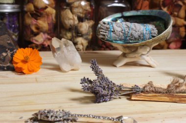 Palo Santo Wood 'lu kurutulmuş lavanta ve lekelenmiş deniz kulağı kabuğu.