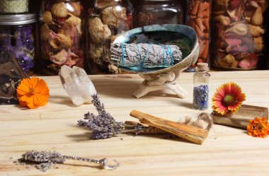 Palo Santo Wood 'lu kurutulmuş lavanta ve lekelenmiş deniz kulağı kabuğu.