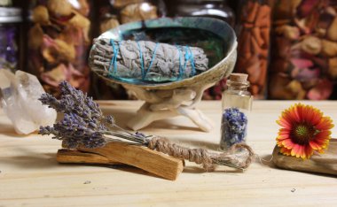 Palo Santo Wood 'lu kurutulmuş lavanta ve lekelenmiş deniz kulağı kabuğu.