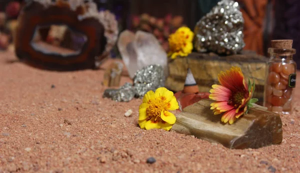 Жовті Квіти Піском Кристали Австралійському Червоному Піску — стокове фото