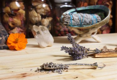 Palo Santo Wood 'lu kurutulmuş lavanta ve lekelenmiş deniz kulağı kabuğu.