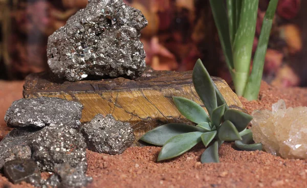 Flower With Pyrite Rocks and Crystals on Australian Red Sand. Meditation Altar