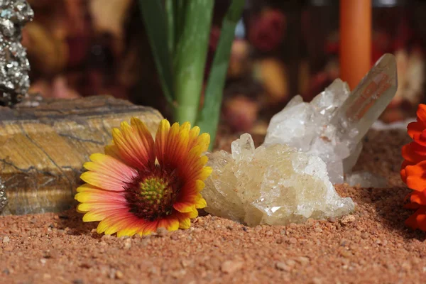 Flower With Pyrite Rocks and Crystals on Australian Red Sand