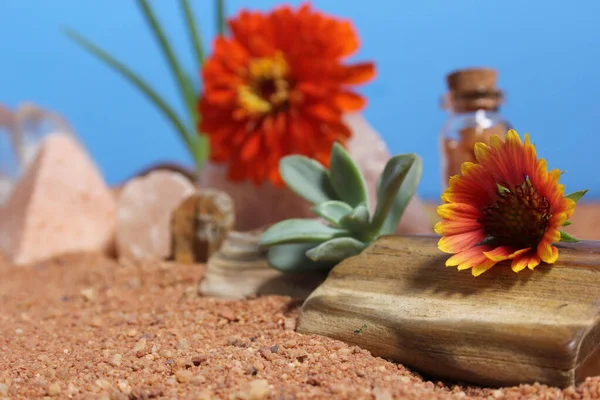 Orange Flower on Petrified Wood and Crystals on Australian Red Sand Meditation Table