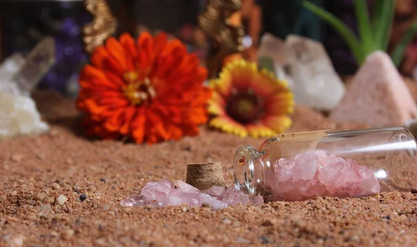 Flower With Pyrite Rocks and Crystals on Australian Red Sand
