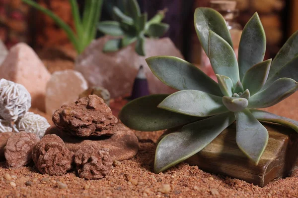 Wüstenrosenfelsen Mit Quarzkristallen Auf Australischem Red Sand Meditationstisch — Stockfoto