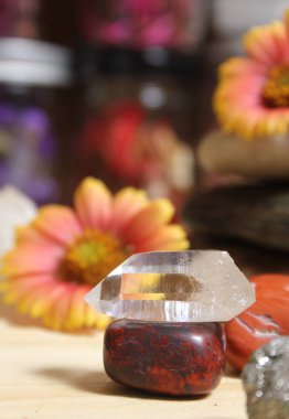 Quartz Crystal Balanced on Bloodstone With Flowers in Background
