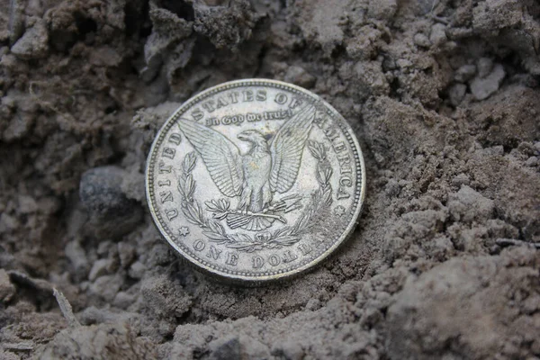 1879 Морган Срібний Долар Землі Бруді Назад — стокове фото