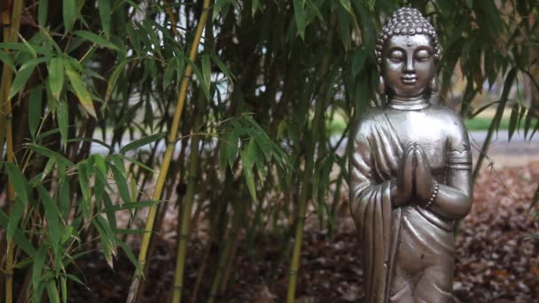 Buddha Bambusz Erdőben Felhős Napon — Stock videók