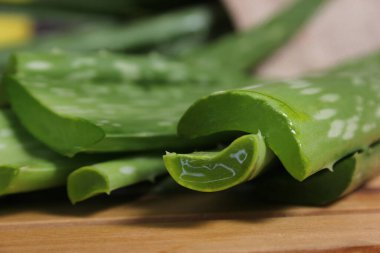 Taze Çiğ Aloe Vera Hasattan Sonra Masada Bırakıyor