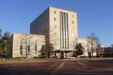 Tyler Texas 'ın merkezindeki tarihi Smith County Adliyesi