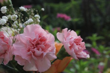 Düğünde Pembe Karanfil Buketi Kapalı Kapılar