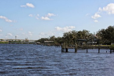 Tampa FL 'deki Palm River manzarası Tayland Budist Tapınağı' ndan