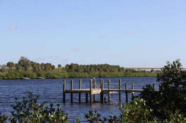 Tampa FL 'deki Palm River manzarası Tayland Budist Tapınağı' ndan