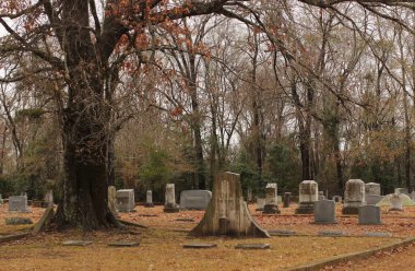 Gladewater TX - 26 Ocak 2025: Gladewater Teksas 'taki Rosedale Mezarlığı