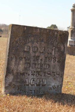 Omen TX - 2 Mart 2025: Omen Texas 'taki Tarihi Elkins Mezarlığı