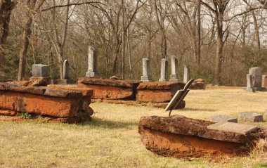 Tyler TX - 7 Mart 2025: Tyler Texas 'taki Meador Mezarlığındaki Tarihi Mezar Taşları