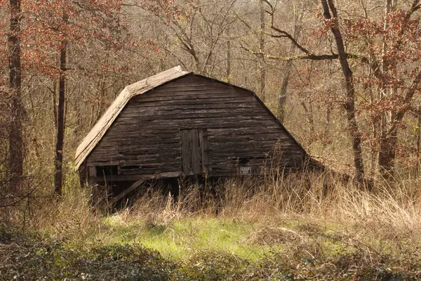 Doğu Teksas 'ta Terk Edilmiş Ahır