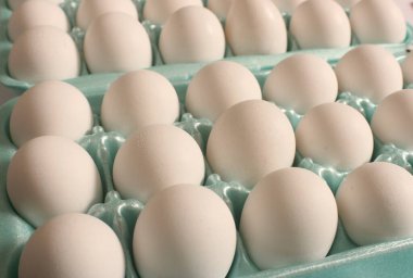 Blue Carton 'daki marketten taze beyaz yumurta al.