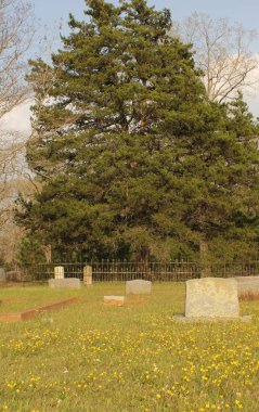 Nacogdoches Teksas 'taki Tarihi Kuzey Kilisesi Mezarlığı