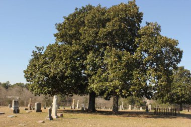 Omen TX 'deki Tarihi Elkins Mezarlığı