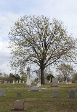 Tyler TX - 23 Mart 2025: Tyler Texas 'taki Tarihi Oakwood Mezarlığı