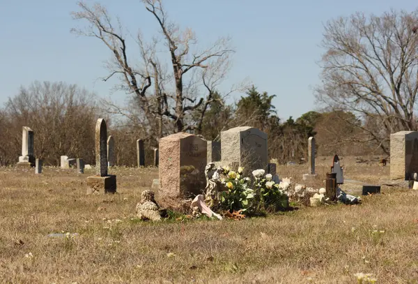 Whitehouse TX - 11 Mart 2025 Whitehouse City Mezarlığı Whitehouse, Teksas