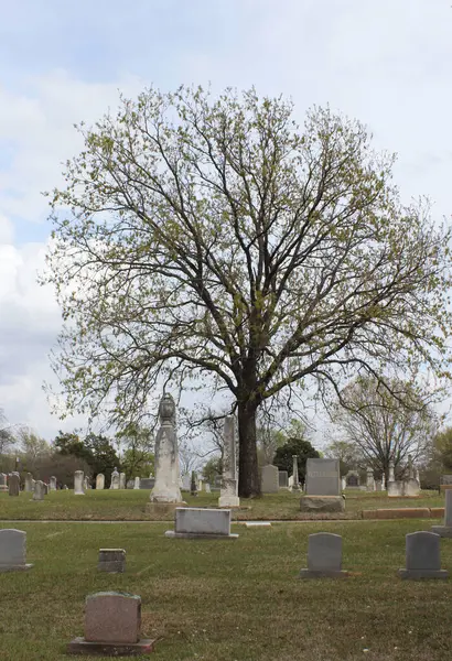 Tyler TX - 23 Mart 2025: Tyler Texas 'taki Tarihi Oakwood Mezarlığı