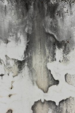 Kırsal Doğu Teksas Mezarlığı 'ndaki Tarihi Mezar Taşı' nın Kapısı