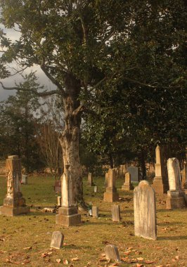 Bullard 'daki Larissa Mezarlığı' ndaki tarihi mezar taşları. Teksas